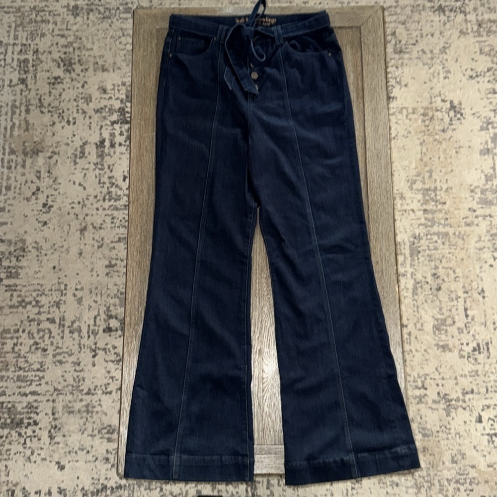 Soft Surroundings Metamorphic Button-Front Flare - image 1